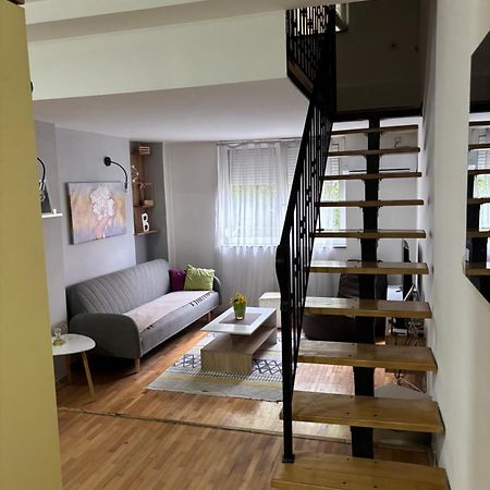 Mia'S Duplex Apartment Skopje Bagian luar foto